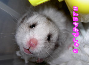 つーちゃんでしゅよ