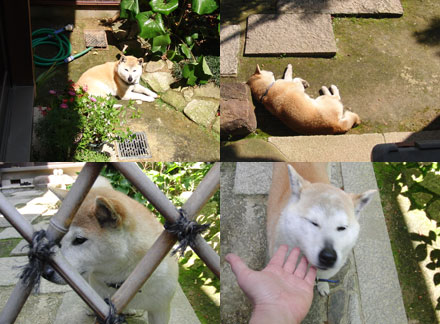 のんびり