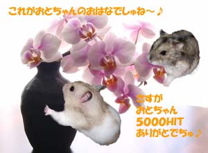 5000HIT