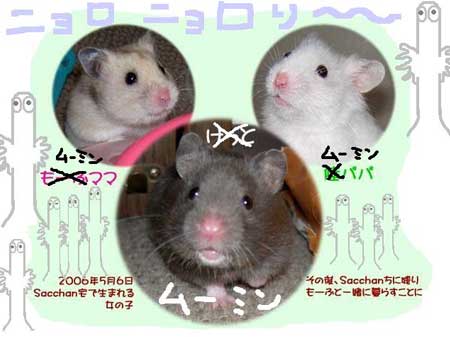 ムーミン