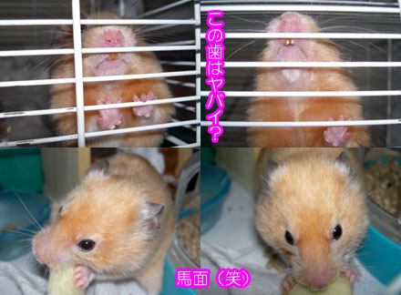 秘密大公開