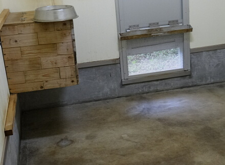 10_10ressa13-46.jpg