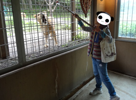 10_11safari14-13.jpg
