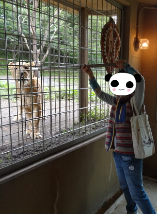 10_11safari14-14.jpg