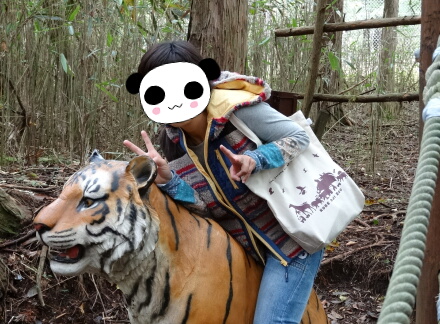 10_11safari14-17.jpg