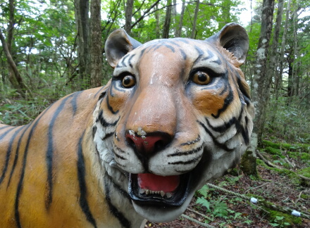 10_11safari14-18.jpg