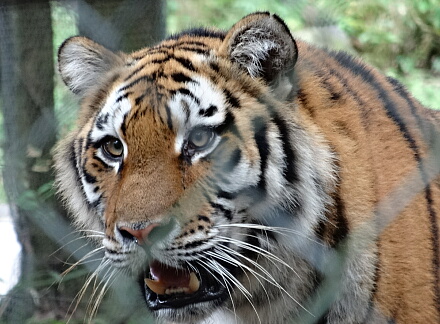 10_11safari14-19.jpg