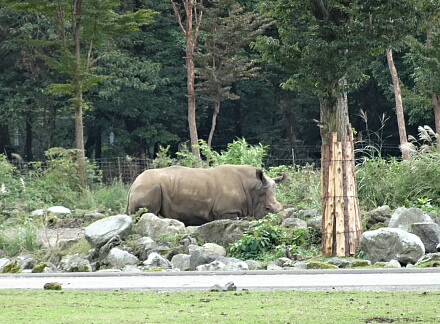 10_13safari14-8.jpg