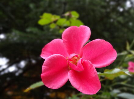 10_16karuizawa14-24.jpg