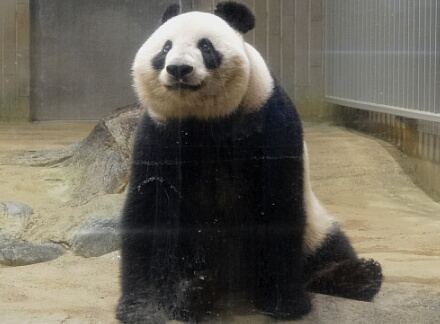 10_26shin13-11.jpg