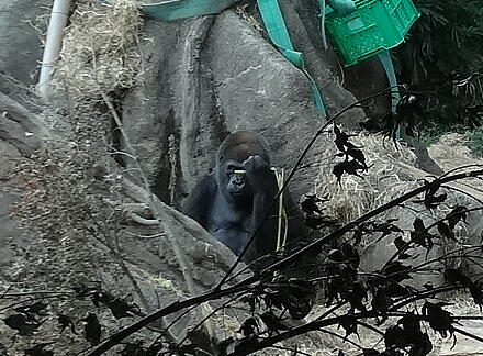 10_29ueno14-12.jpg