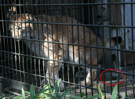 10_30hamura14-10.jpg