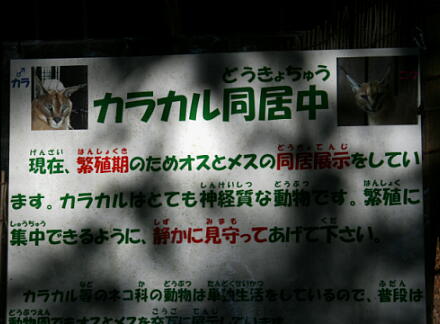 10_30hamura14-24.jpg