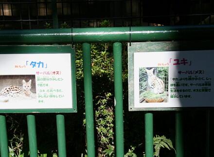 10_30hamura14-50.jpg