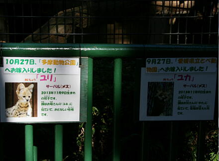 10_30hamura14-51.jpg