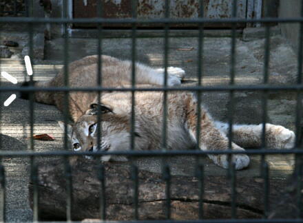 10_30hamura14-7.jpg