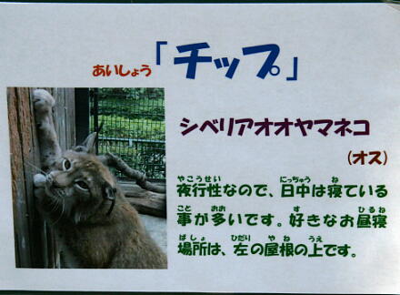 10_30hamura14-9.jpg