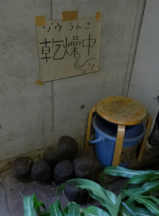 10_7rasukumaru14-11.jpg