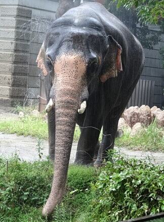 10_7rasukumaru14-13.jpg