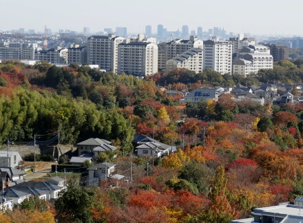 11_23kouyo13-1.jpg