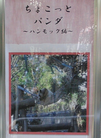 シンシンが乗ったらしい