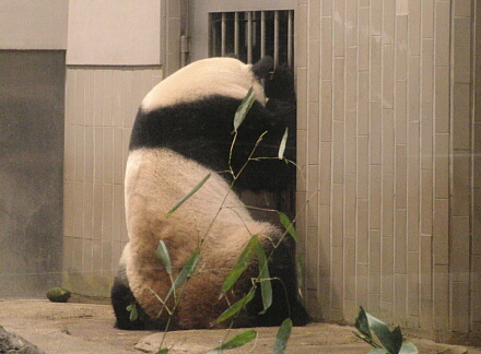 見てるねー