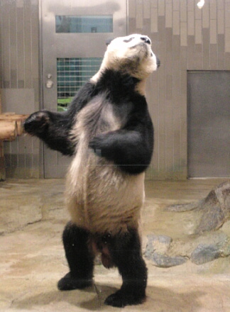 あ(汗)