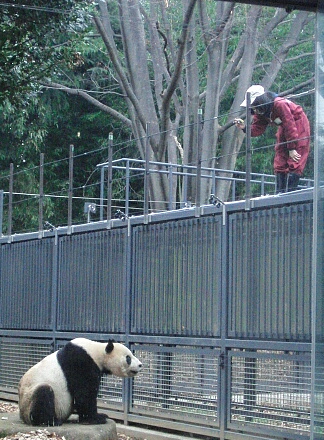 飼育員さん