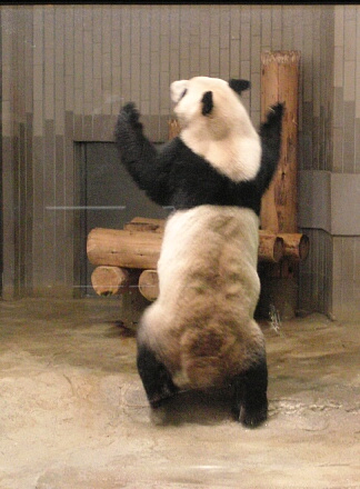 上手〜♪