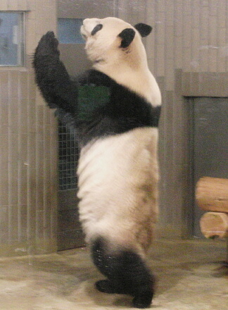 軽やかに♪