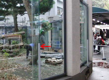 清掃