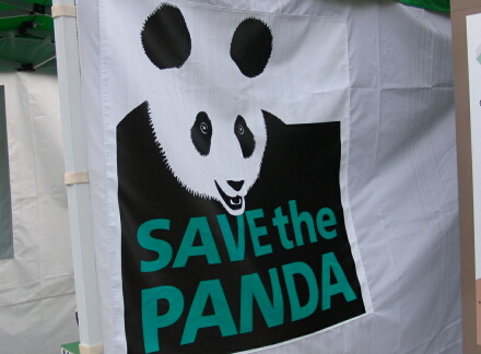 save the panda