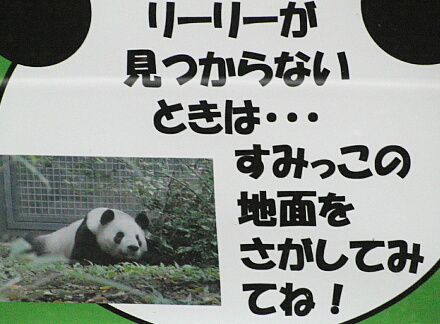 ポイントも!