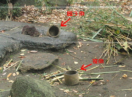 お皿