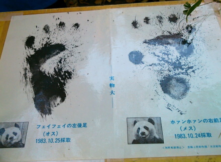 実際の足たく