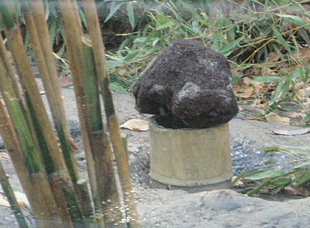 しっかり重石