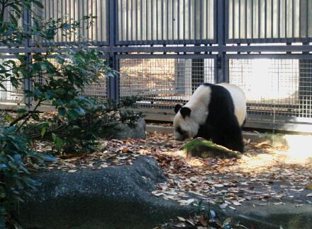 散歩