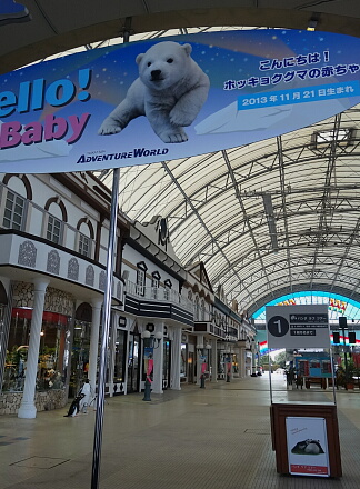 1_21basu14-15.jpg