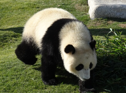 1_21yuhin14-1.jpg
