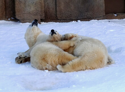 3_18rarafamily14-14.jpg