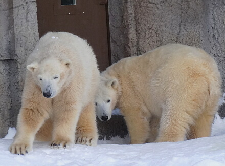 3_18rarafamily14-38.jpg