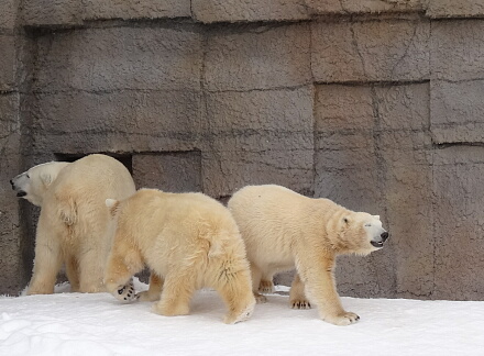 3_9rarafamily14-1.jpg