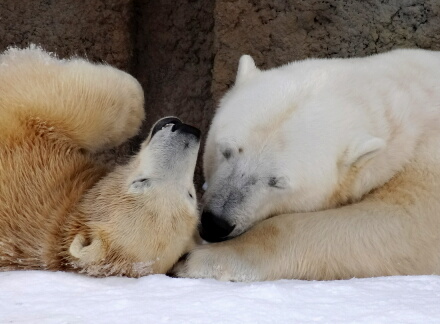 3_9rarafamily14-27.jpg