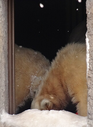 3_9rarafamily14-8.jpg