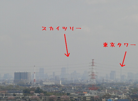 霞んでいるけど