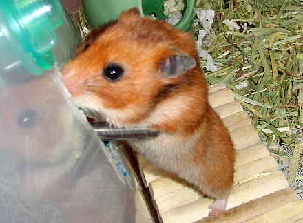 穴があいているわね