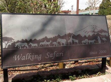 4_27safari14-1.jpg