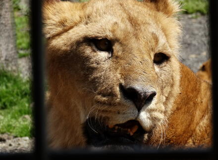 4_27safari14-13.jpg