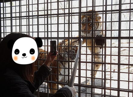 4_27safari14-21.jpg