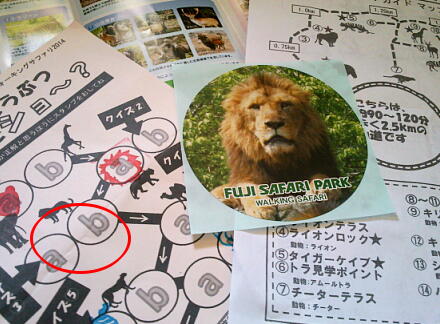 4_27safari14-36.jpg